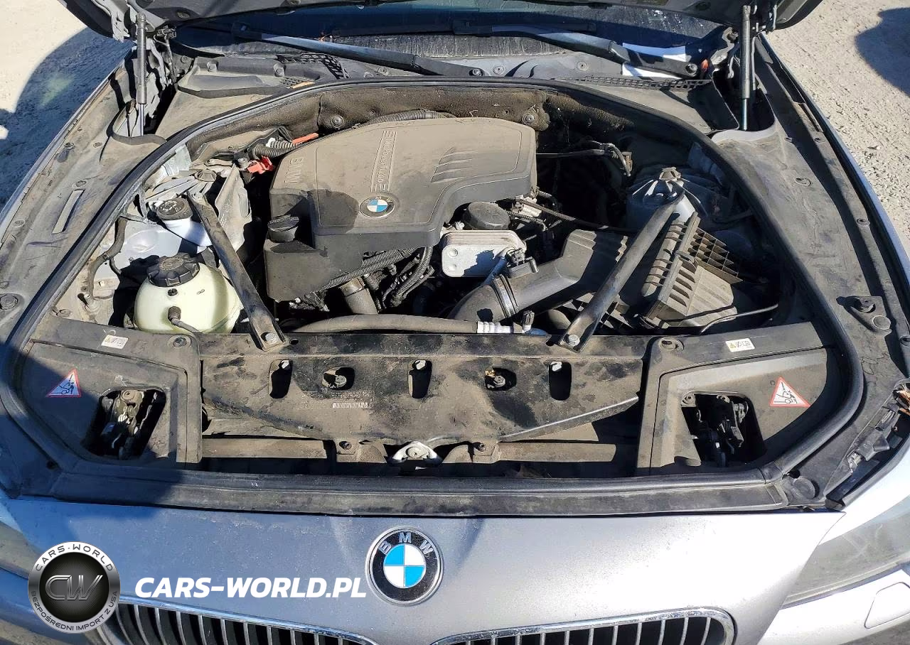 2013 BMW 528 I VIN:WBAXG5C58DDY32695 - 11