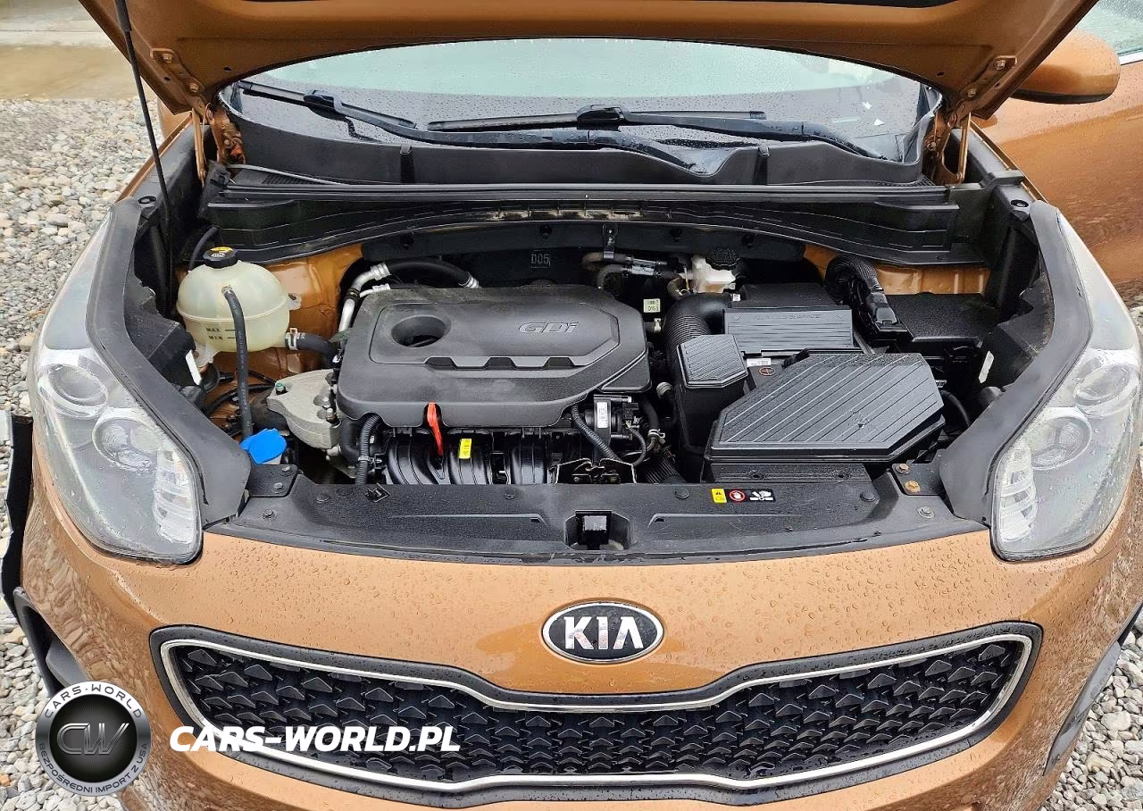 2018 Kia Sportage Lx VIN:KNDPM3AC0J7456196 - 12