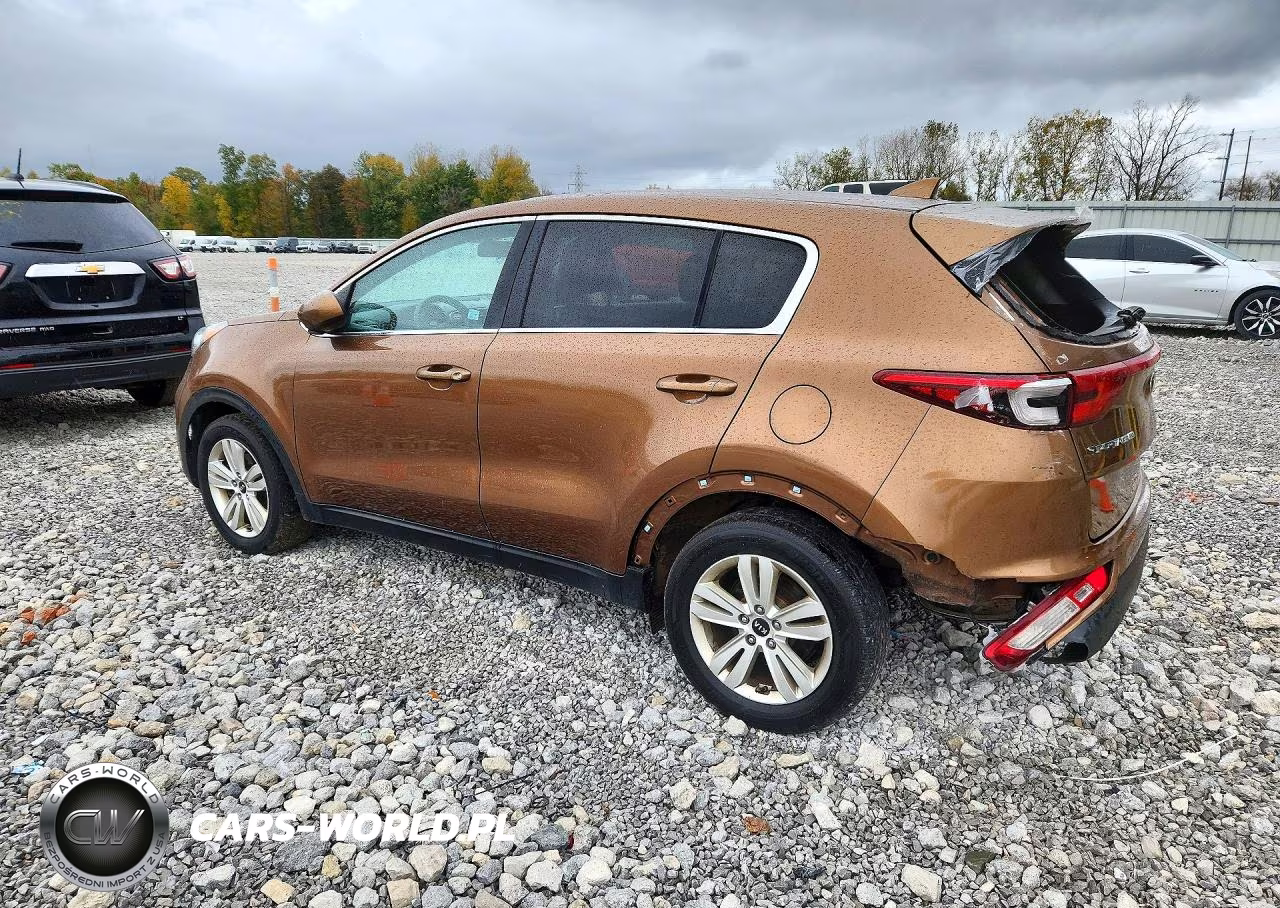 2018 Kia Sportage Lx VIN:KNDPM3AC0J7456196 - 2