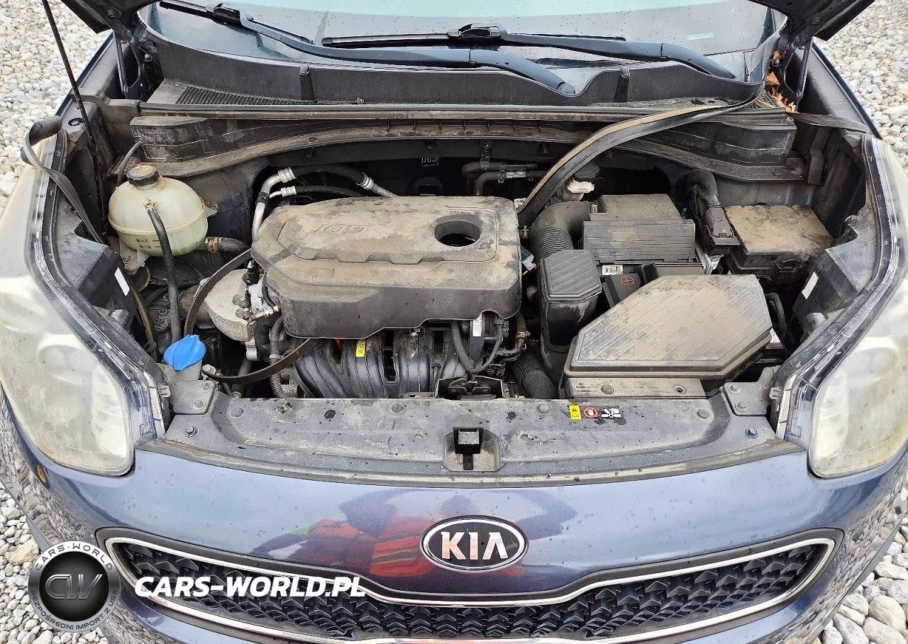 2018 Kia Sportage Lx VIN:KNDPM3AC8J7321144 - 12