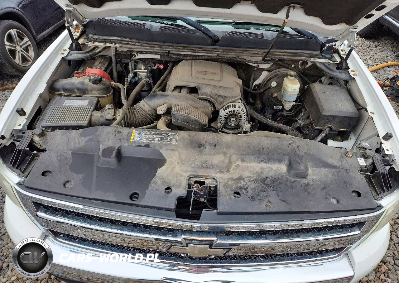 2009 Chevrolet Silverado K1500 Lt VIN:1GCEK29J89Z232376 - 11