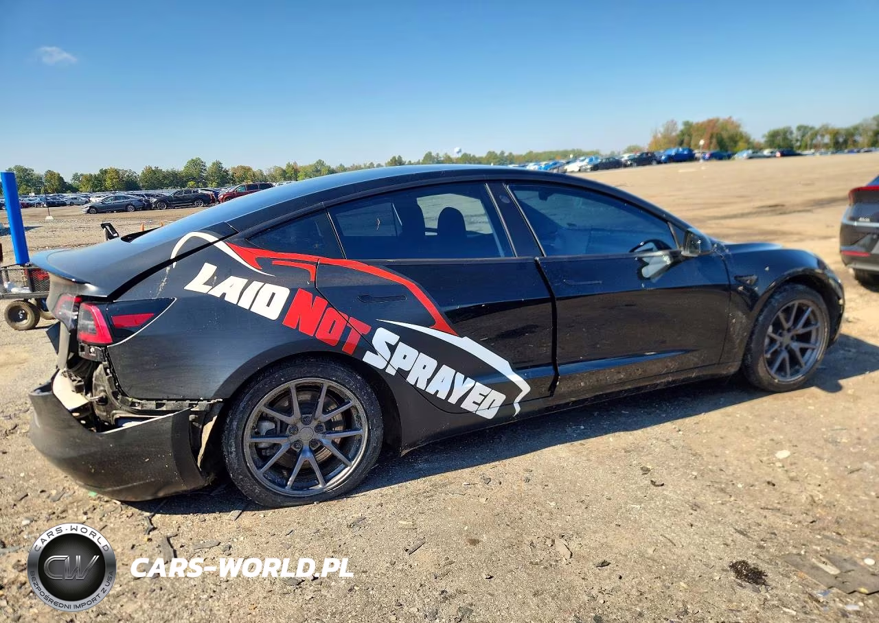 2019 Tesla Model 3 VIN:5YJ3E1EA9KF361818 - 3