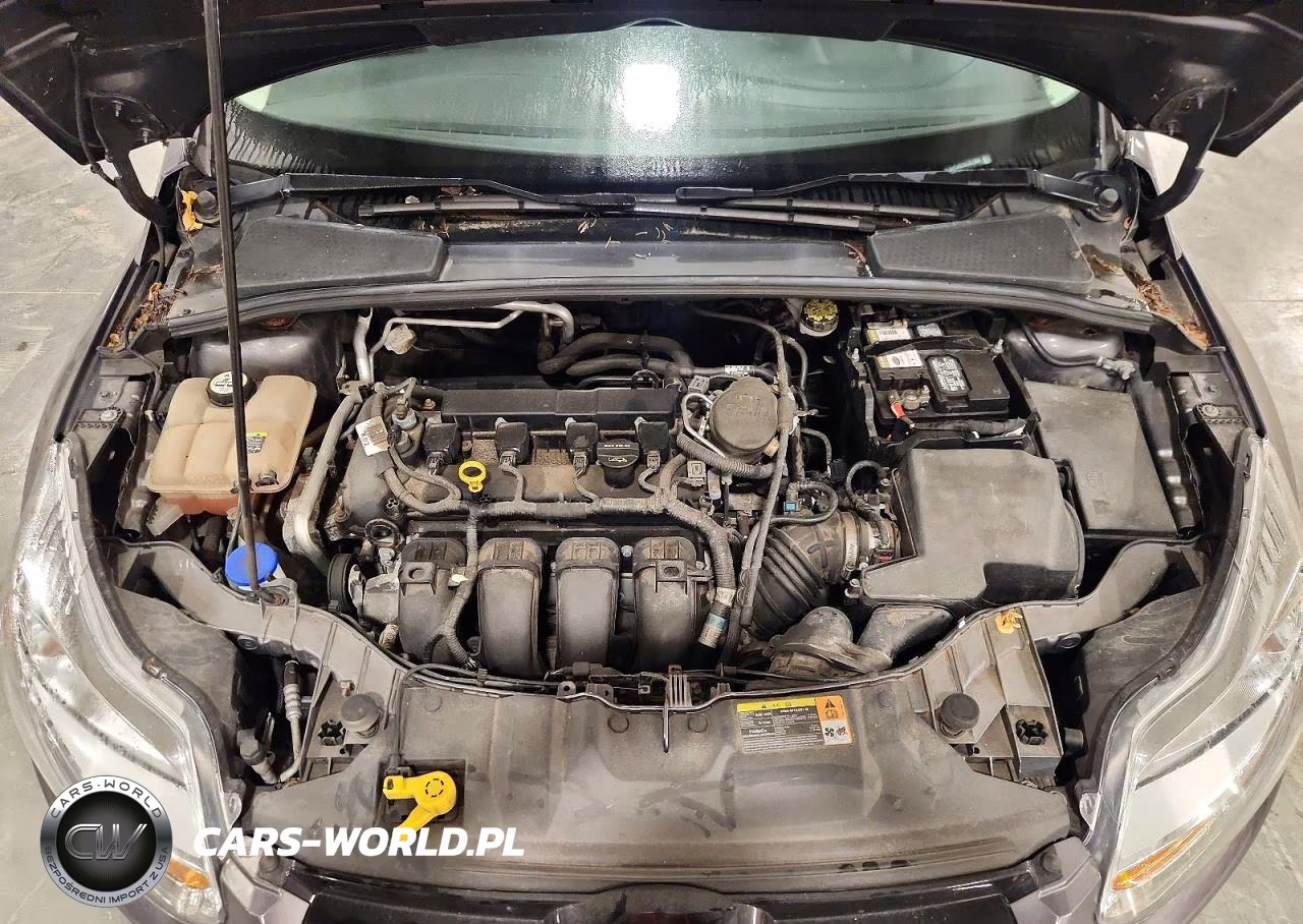 2012 Ford Focus Sel VIN:1FAHP3H2XCL321994 - 11