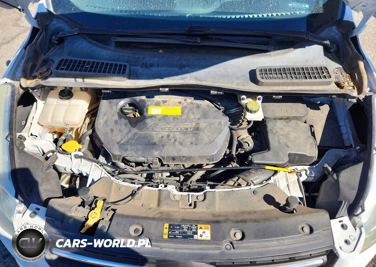 2016 Ford Escape Se VIN:1FMCU0GX1GUB51867 - 12