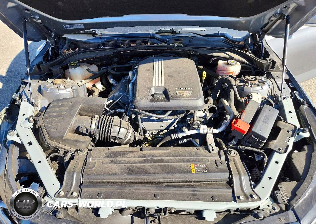 2022 Cadillac Ct4 Luxury VIN:1G6DK5RK9N0114795 - 11