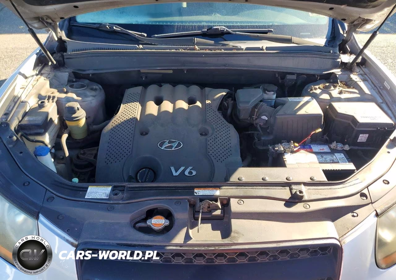 2008 Hyundai Santa Fe Gls VIN:5NMSG13D68H182095 - 12