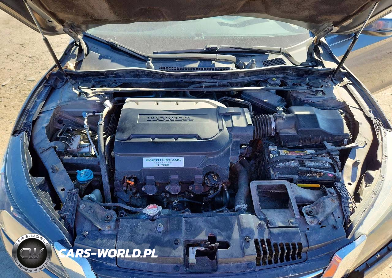 2013 Honda Accord Exl VIN:1HGCR3F89DA038295 - 11