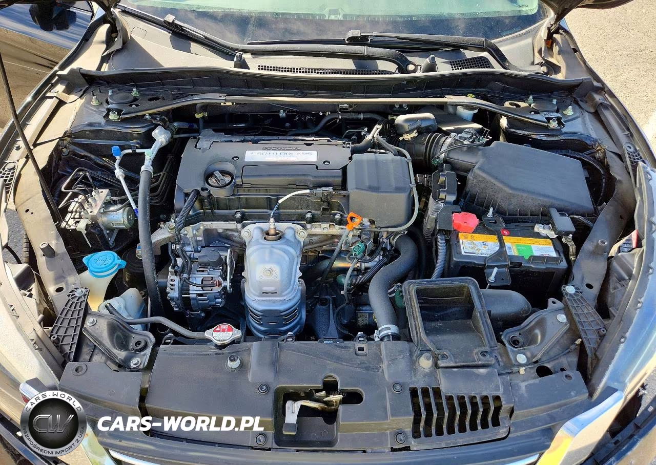 2014 Honda Accord Exl VIN:1HGCR2F88EA184294 - 11