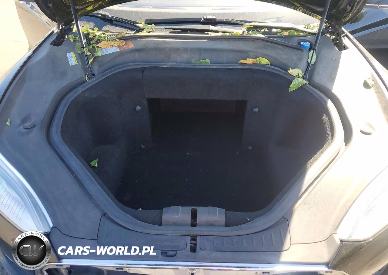 2014 Tesla Model S VIN:5YJSA1H11EFP44823 - 11