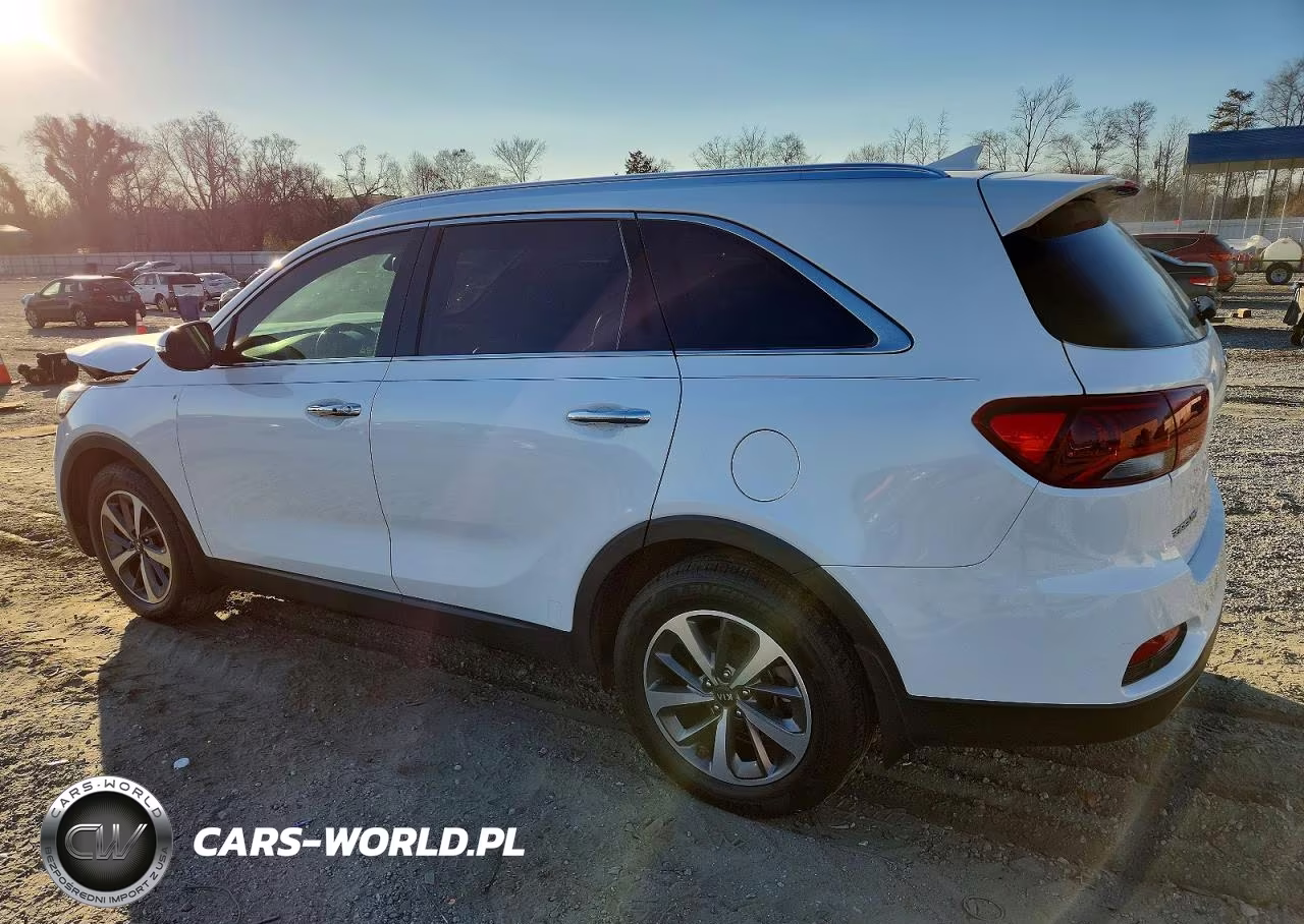 2019 Kia Sorento Ex VIN:5XYPH4A59KG503449 - 2