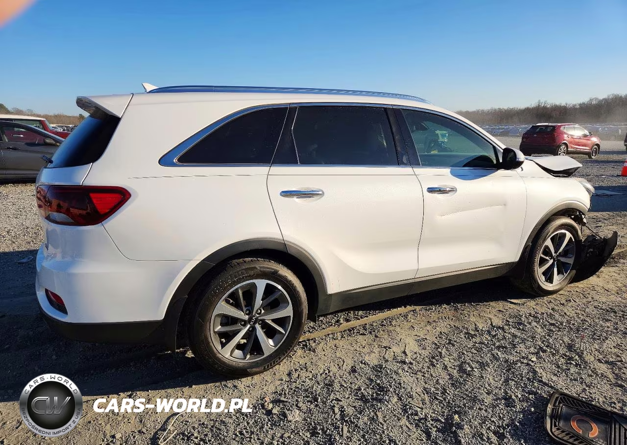 2019 Kia Sorento Ex VIN:5XYPH4A59KG503449 - 3