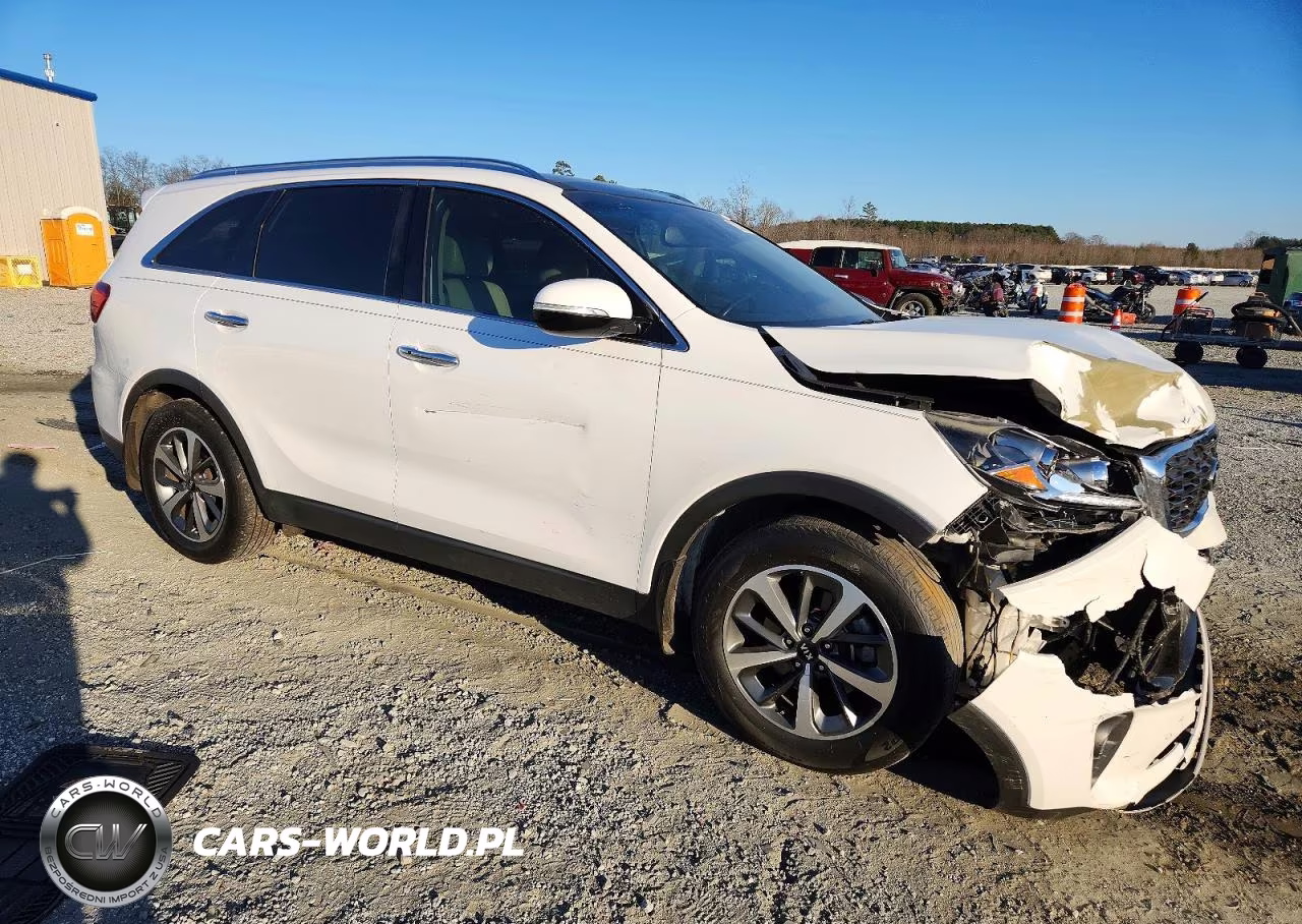 2019 Kia Sorento Ex VIN:5XYPH4A59KG503449 - 4