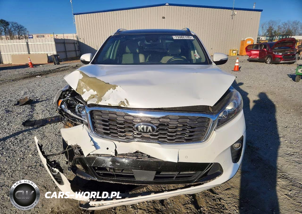 2019 Kia Sorento Ex VIN:5XYPH4A59KG503449 - 5