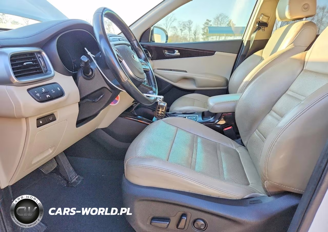 2019 Kia Sorento Ex VIN:5XYPH4A59KG503449 - 7