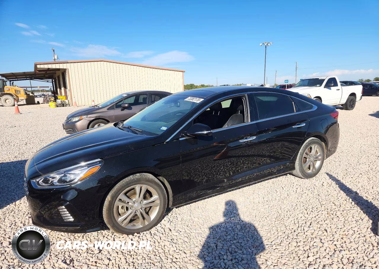 2019 Hyundai Sonata Limited VIN:5NPE34AF7KH768698 - 1
