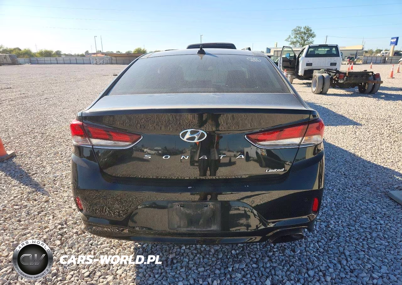 2019 Hyundai Sonata Limited VIN:5NPE34AF7KH768698 - 6