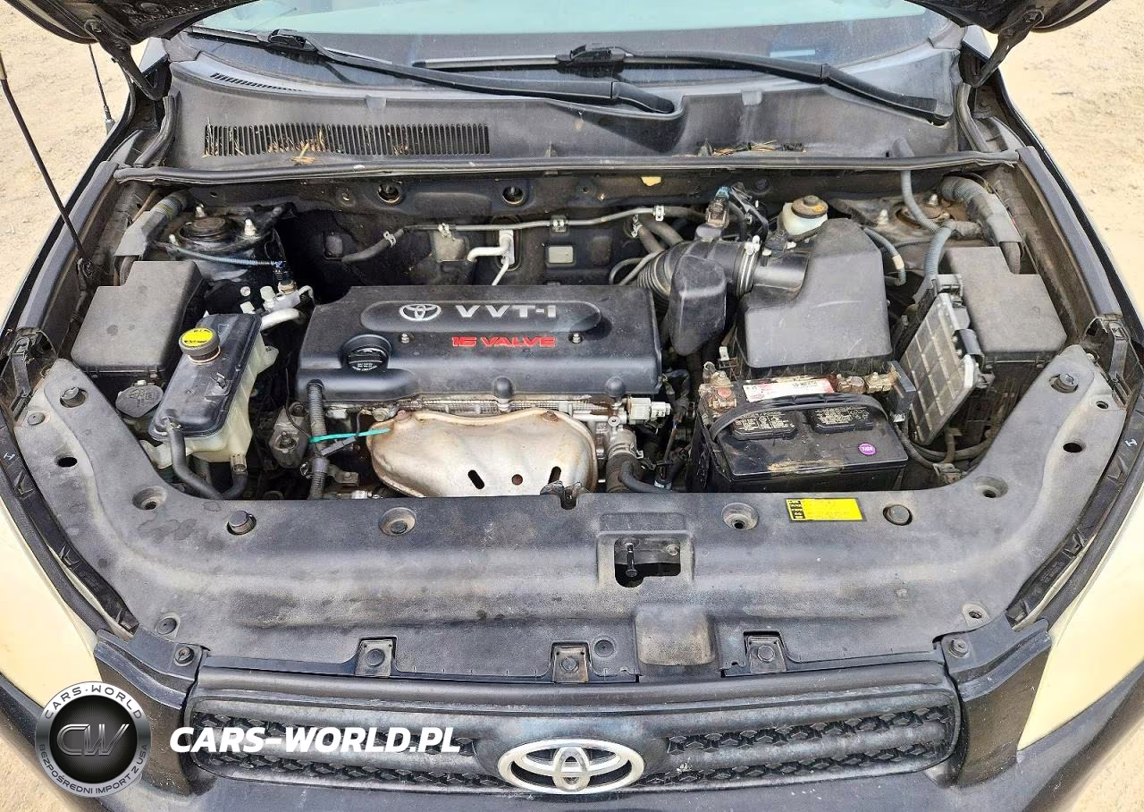 2006 Toyota Rav4 Base VIN:JTMBD33V865024953 - 12