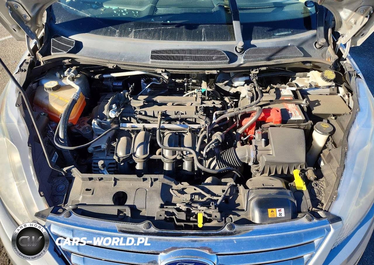 2013 Ford Fiesta Se VIN:3FADP4BJ7DM165501 - 11