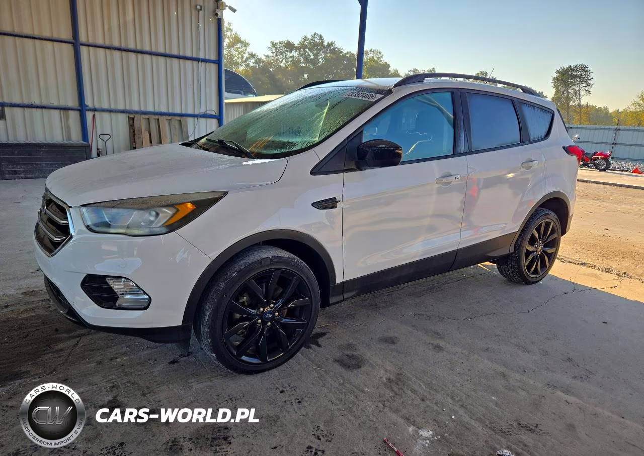 2019 Ford Escape Se
