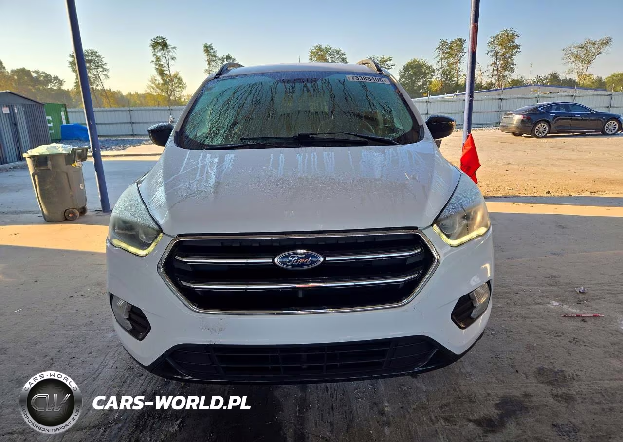 2019 Ford Escape Se VIN:1FMCU9GDXKUA58851 - 5