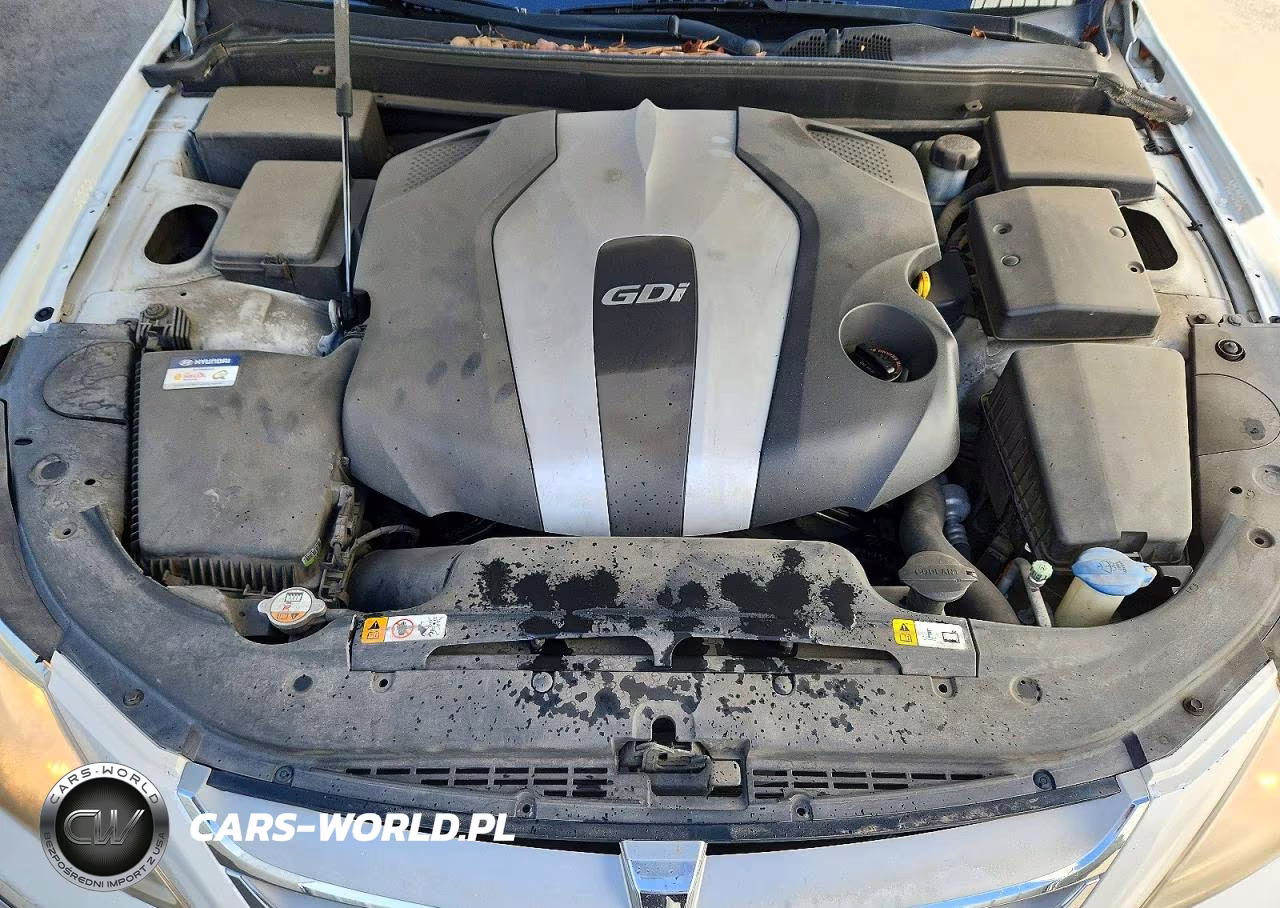 2013 Hyundai Genesis 3.8L VIN:KMHGC4DD5DU217404 - 11