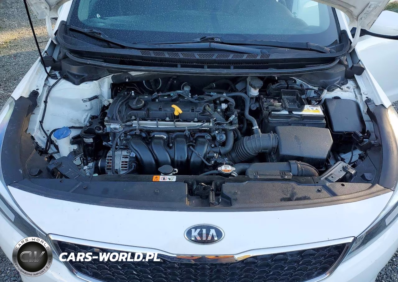 2018 Kia Forte Lx VIN:3KPFK4A71JE205472 - 11