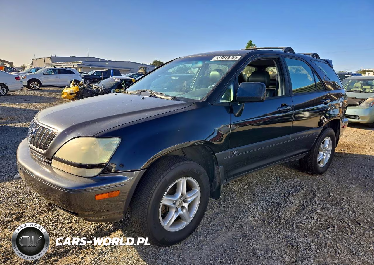 2002 Lexus Rx 300 VIN:JTJGF10UX20140353 - 1