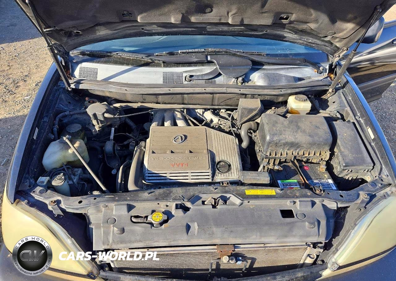 2002 Lexus Rx 300 VIN:JTJGF10UX20140353 - 12