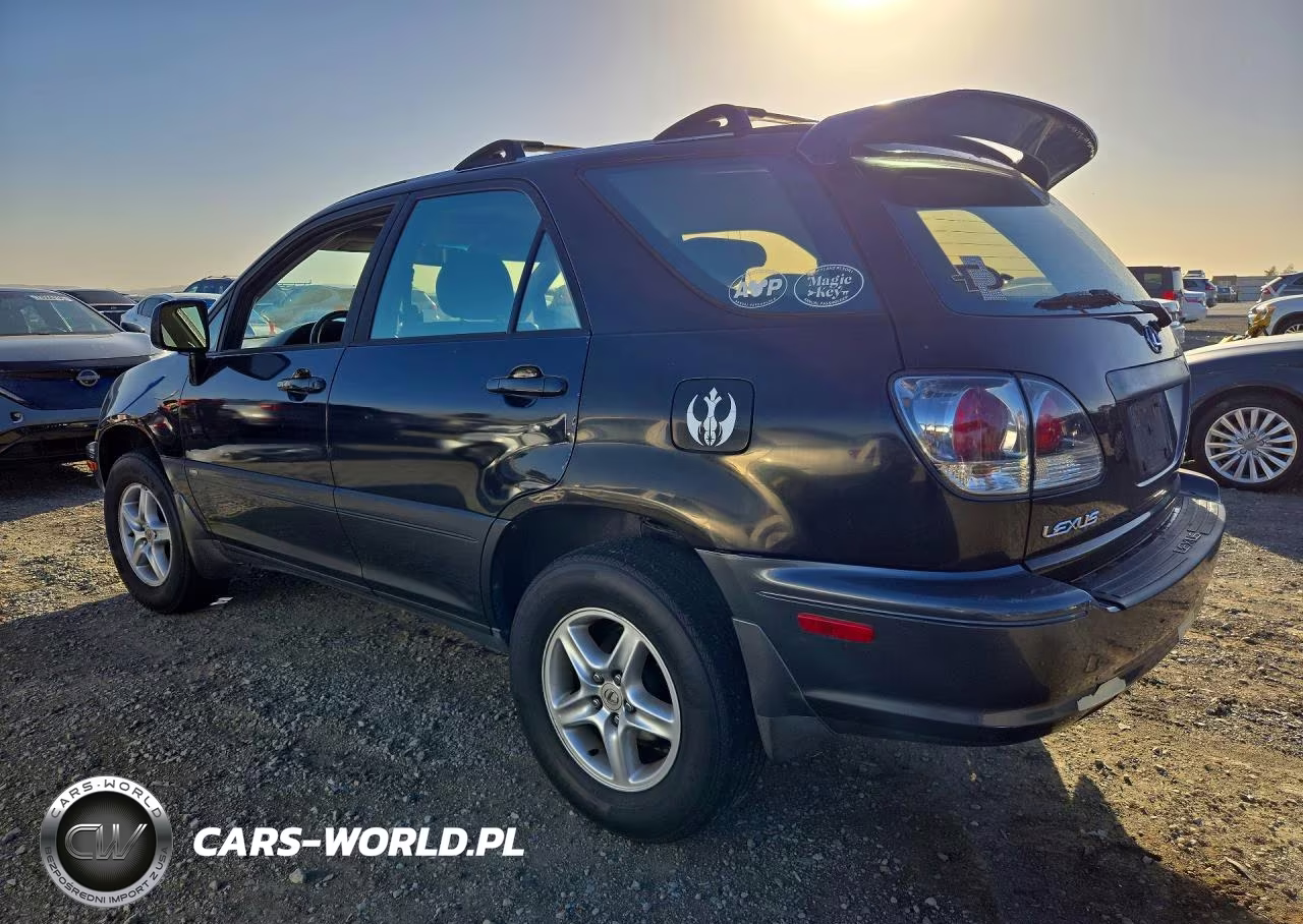 2002 Lexus Rx 300 VIN:JTJGF10UX20140353 - 2