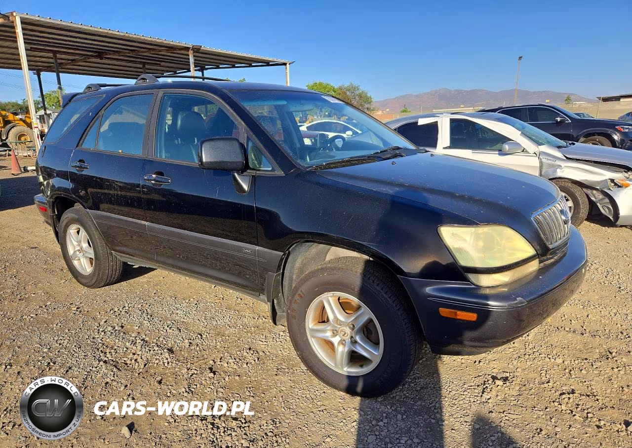 2002 Lexus Rx 300 VIN:JTJGF10UX20140353 - 4