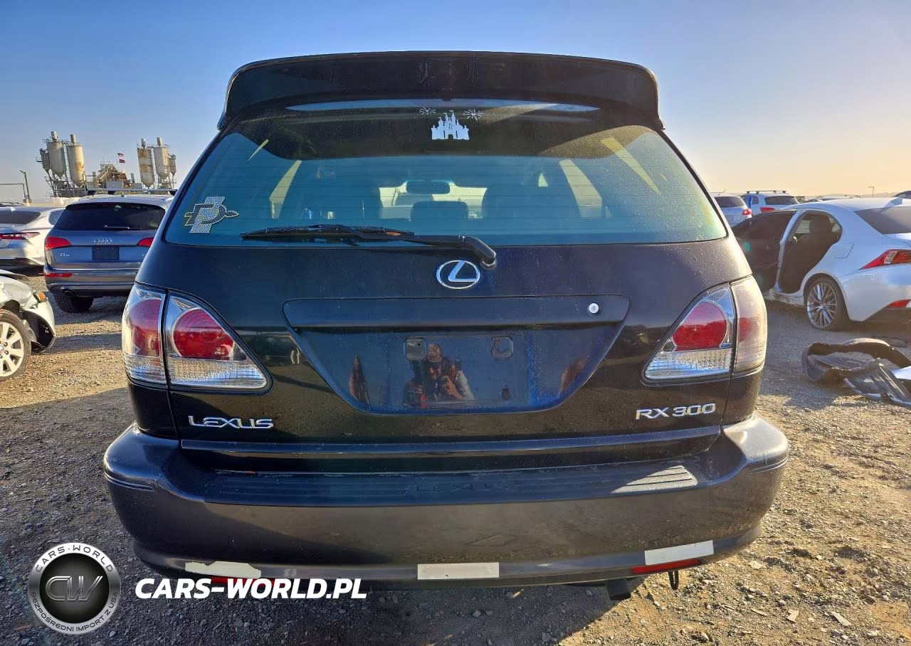 2002 Lexus Rx 300 VIN:JTJGF10UX20140353 - 6