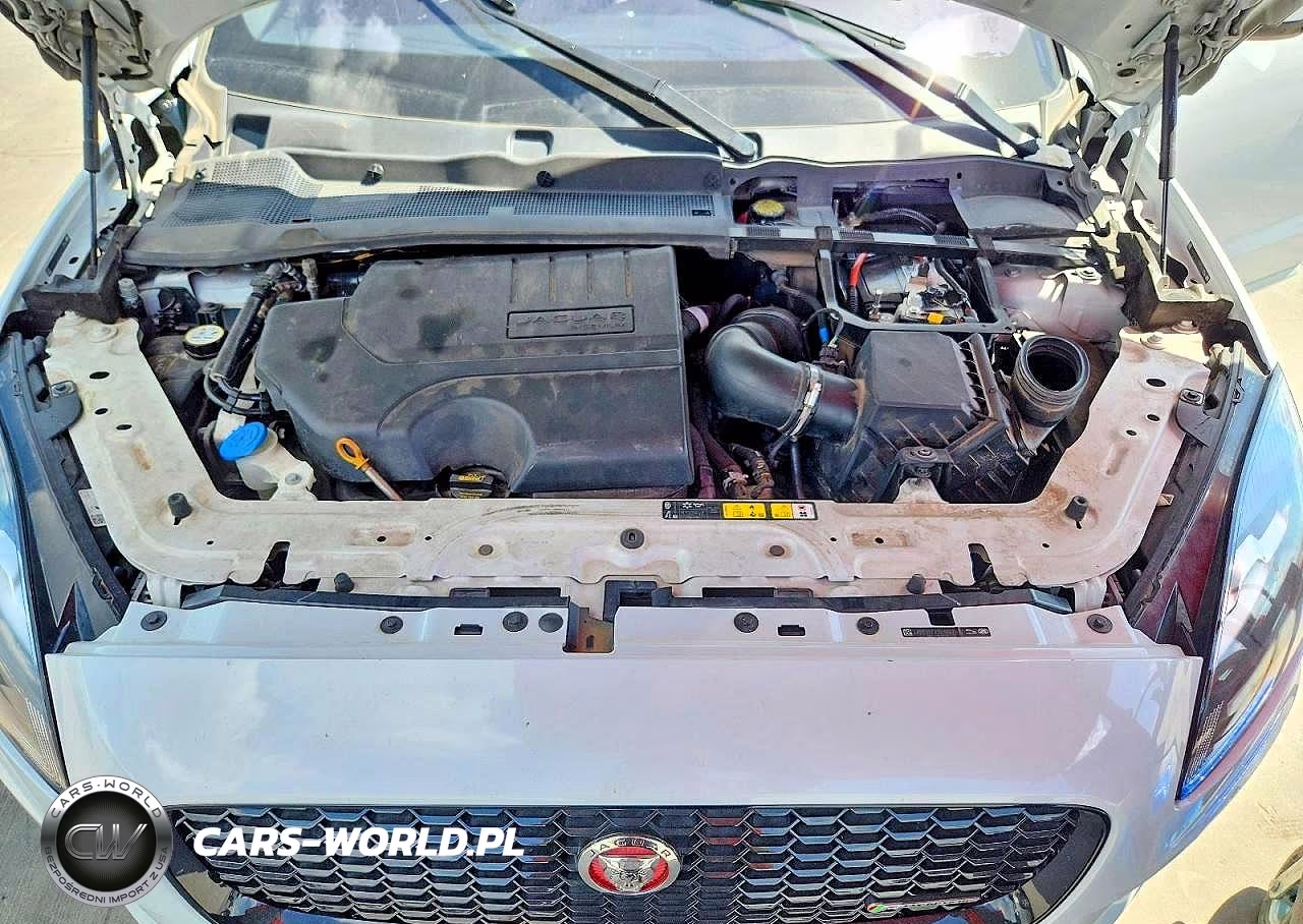 2020 Jaguar E-Pace Checkered Flag VIN:SADF12FX7L1Z87447 - 12