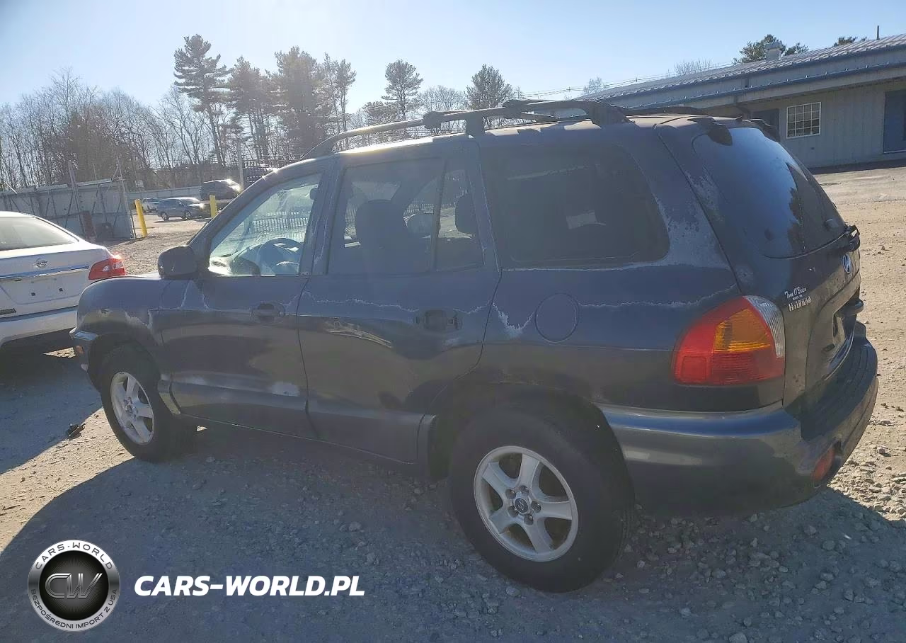 2004 Hyundai Santa Fe Gl VIN:KM8SB12B44U686478 - 2