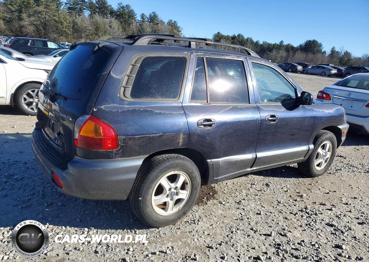 2004 Hyundai Santa Fe Gl VIN:KM8SB12B44U686478 - 3