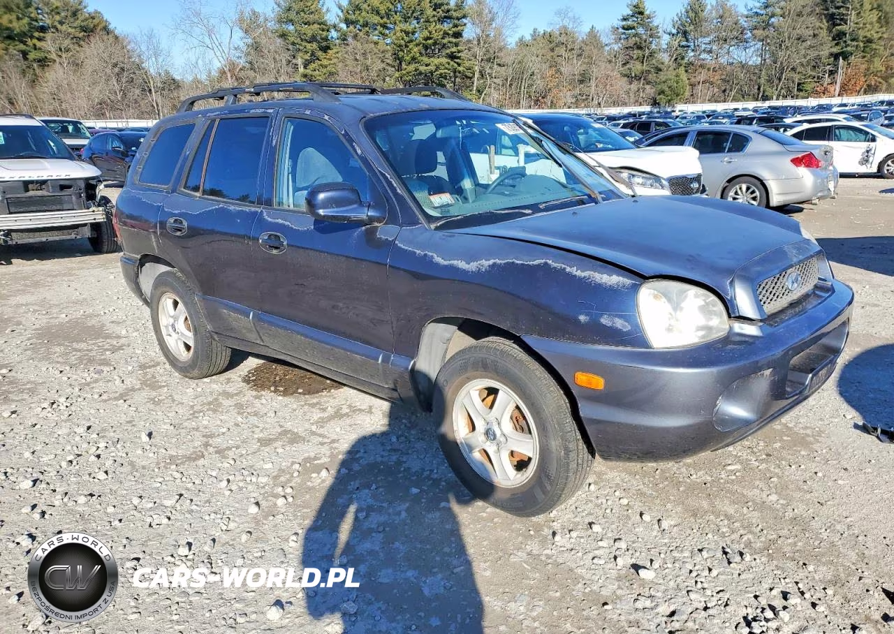 2004 Hyundai Santa Fe Gl VIN:KM8SB12B44U686478 - 4
