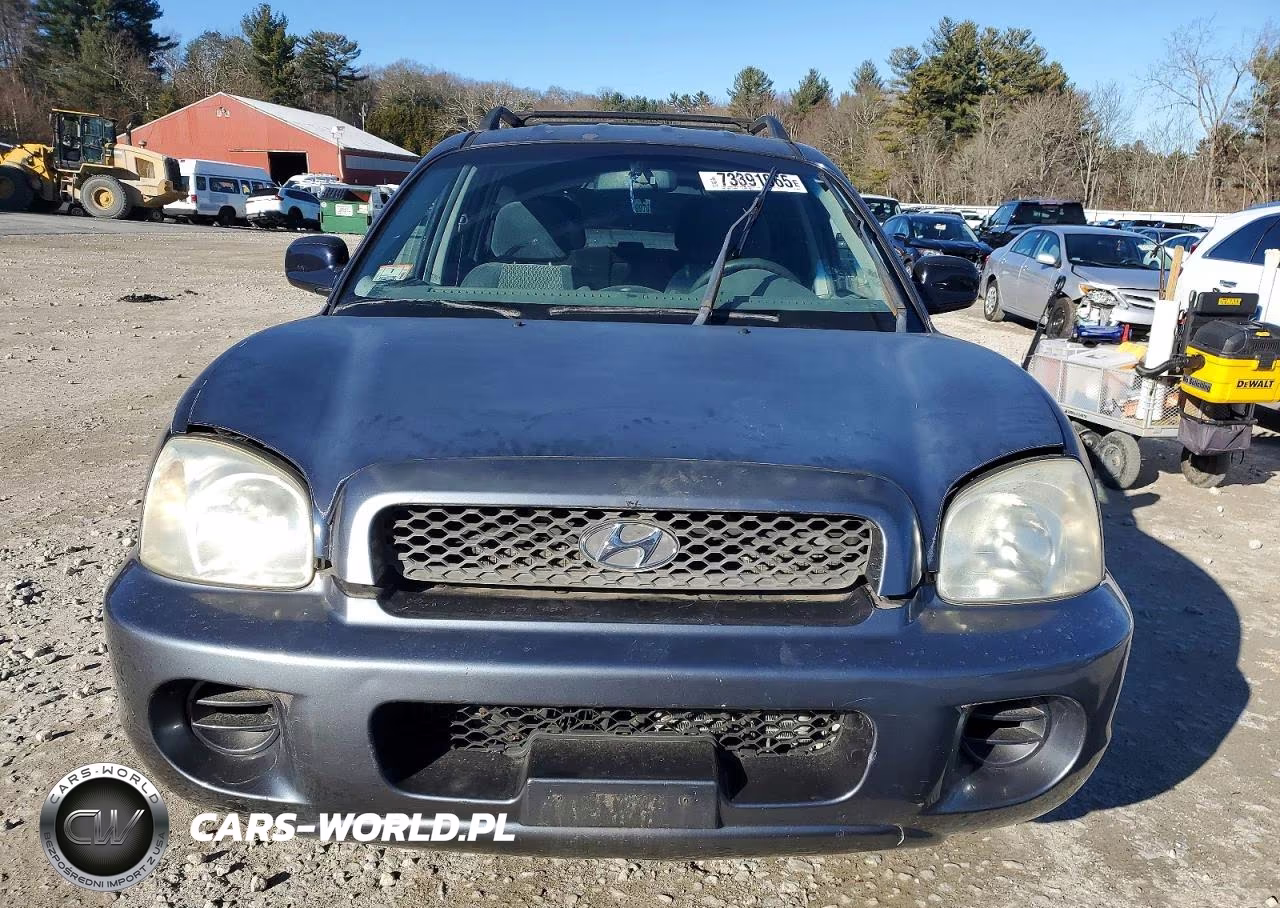 2004 Hyundai Santa Fe Gl VIN:KM8SB12B44U686478 - 5