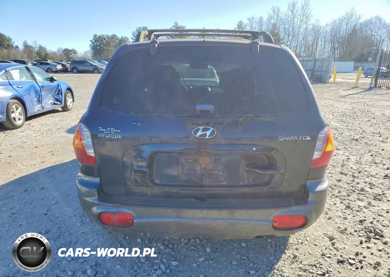 2004 Hyundai Santa Fe Gl VIN:KM8SB12B44U686478 - 6