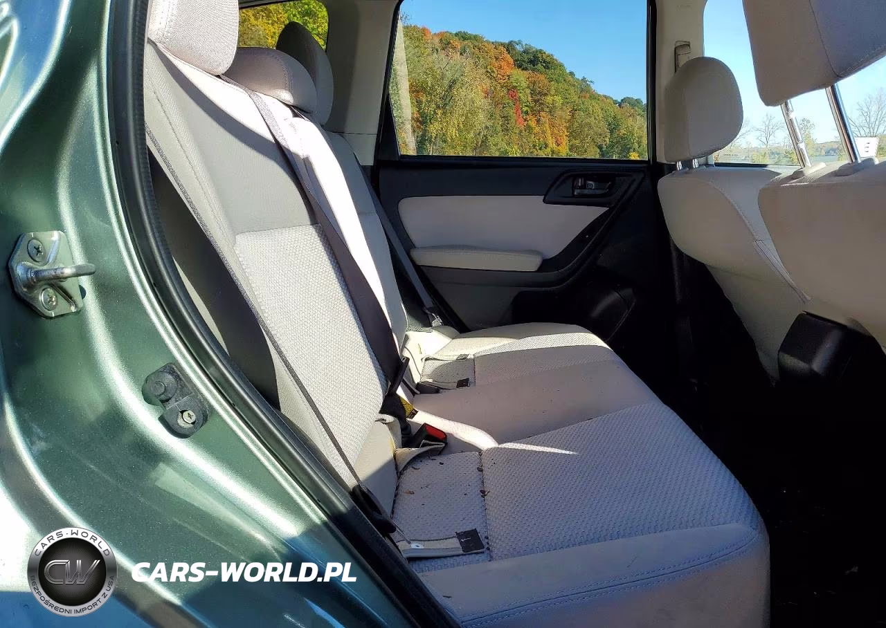 2016 Subaru Forester 2.5I Premium VIN:JF2SJAFC4GH509079 - 11
