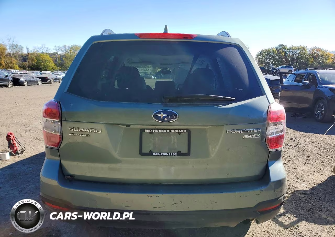 2016 Subaru Forester 2.5I Premium VIN:JF2SJAFC4GH509079 - 6