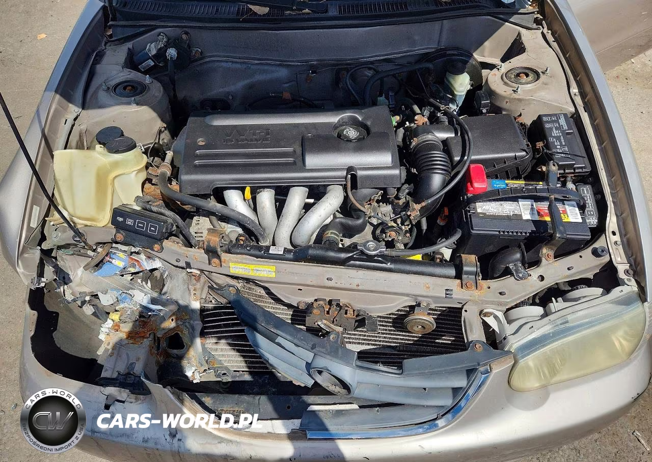 2002 Toyota Corolla Ce VIN:1NXBR12E52Z572993 - 11