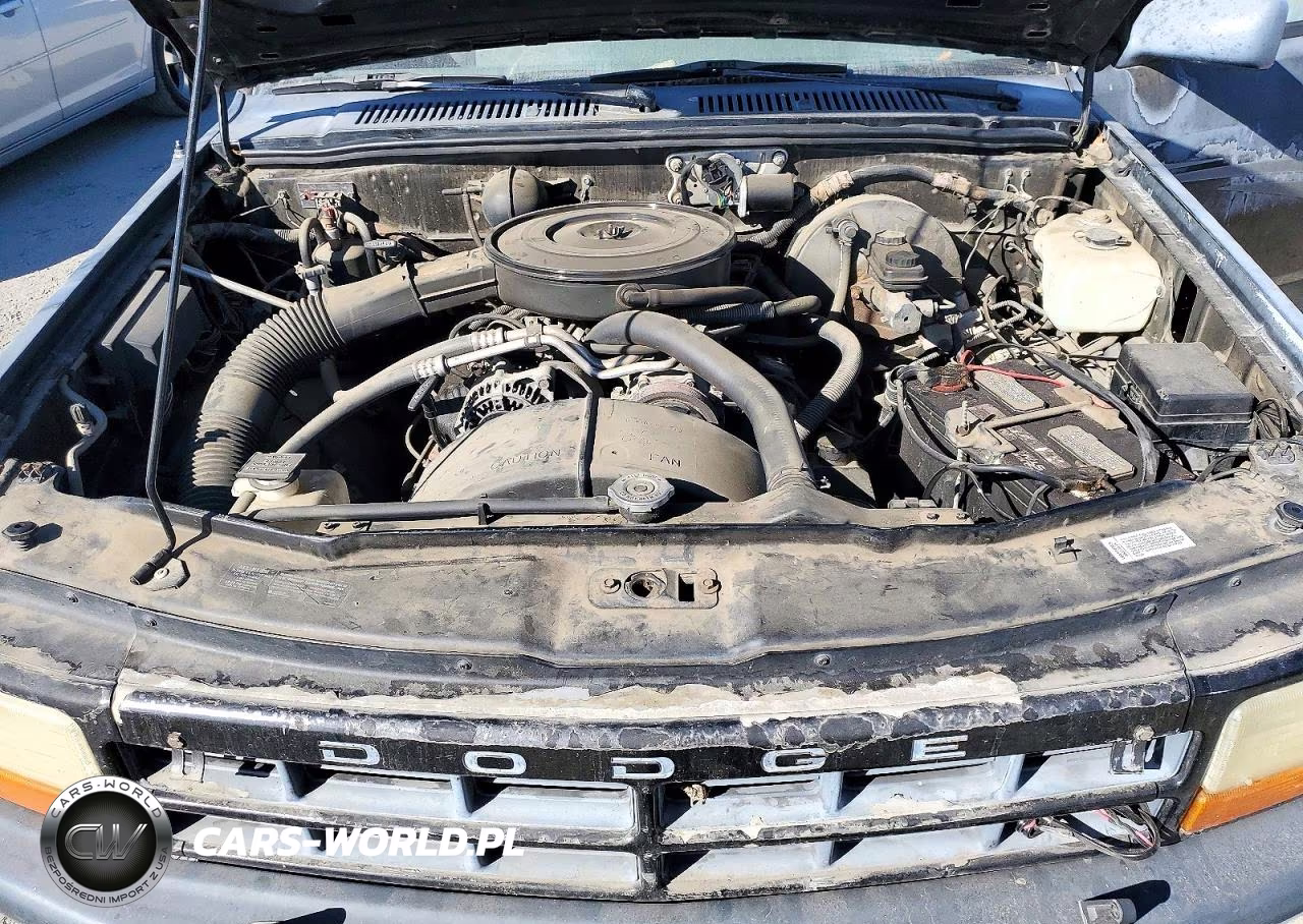 1996 Dodge Dakota VIN:1B7GG26X9TW704631 - 11