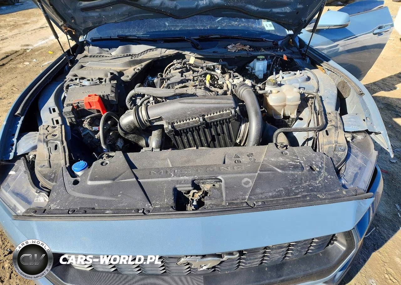 2024 Ford Mustang VIN:1FA6P8TH7R5131387 - 11