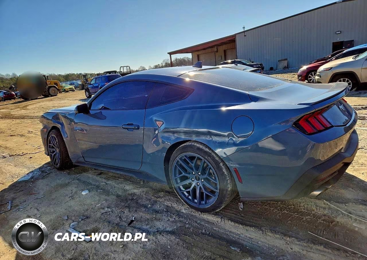 2024 Ford Mustang VIN:1FA6P8TH7R5131387 - 2