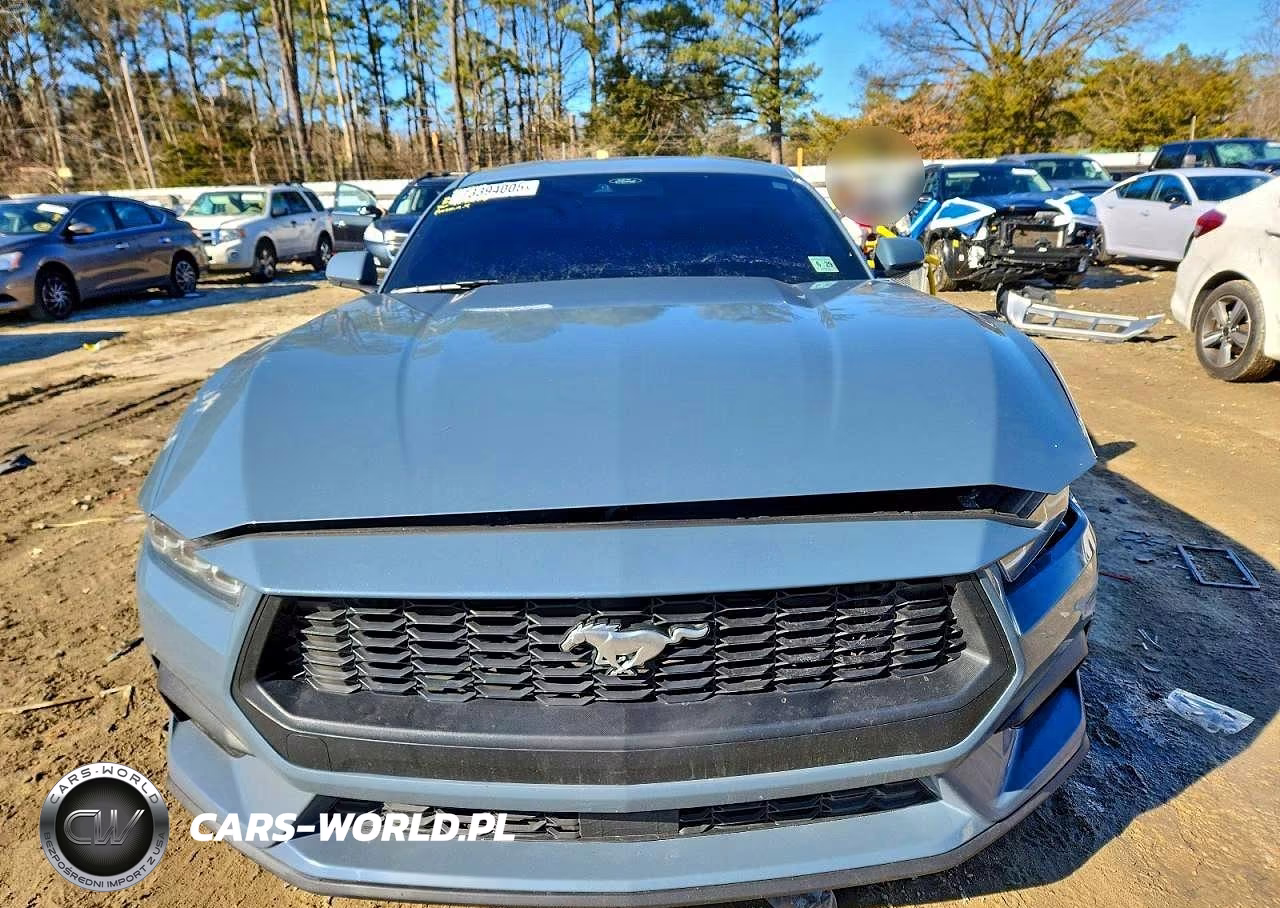 2024 Ford Mustang VIN:1FA6P8TH7R5131387 - 5