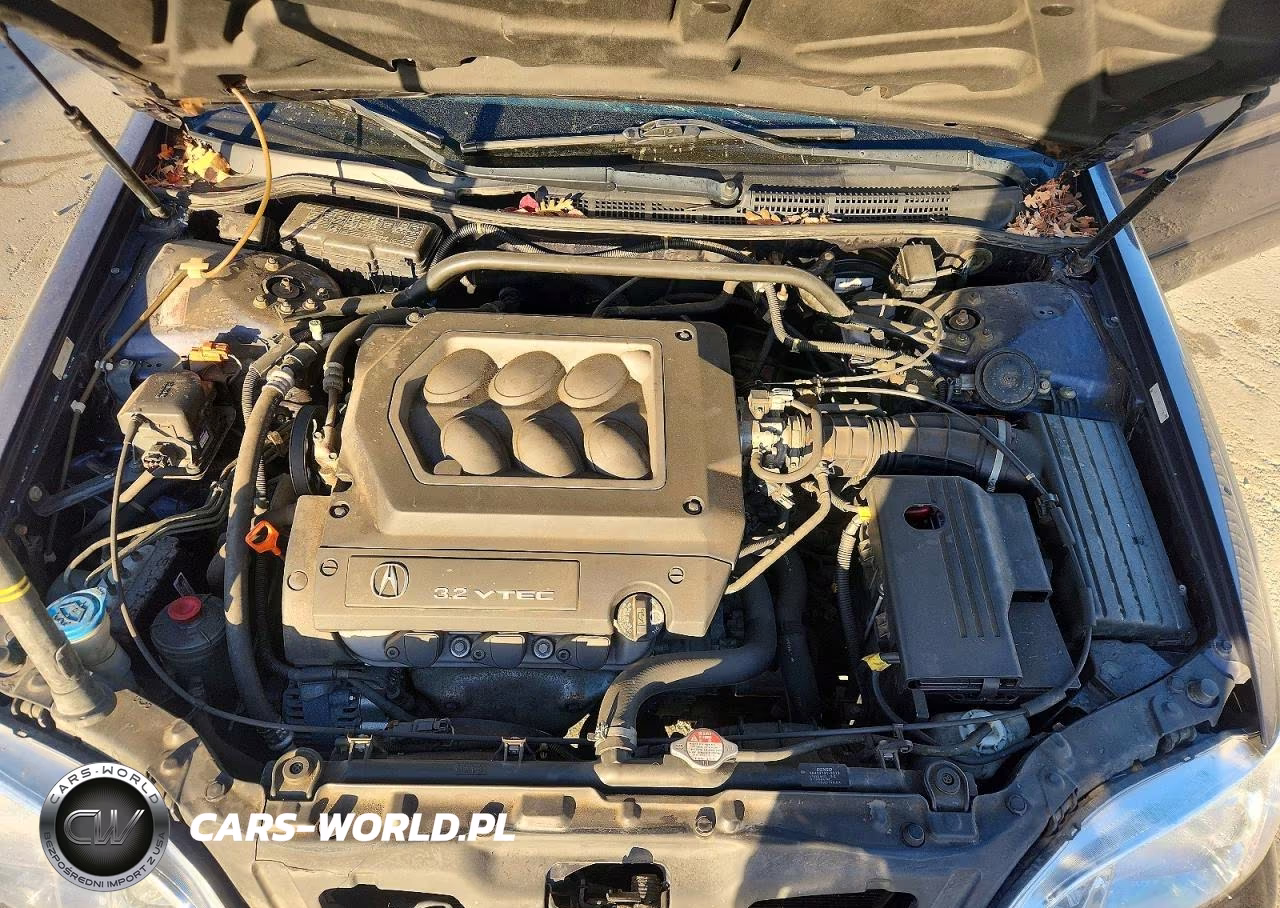 1999 Acura 3.2Tl VIN:19UUA5649XA053601 - 11