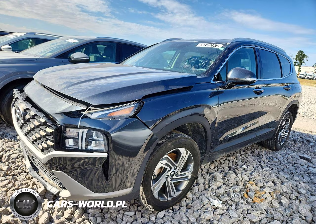 2023 Hyundai Santa Fe Sel VIN:5NMS2DAJ2PH604838 - 1