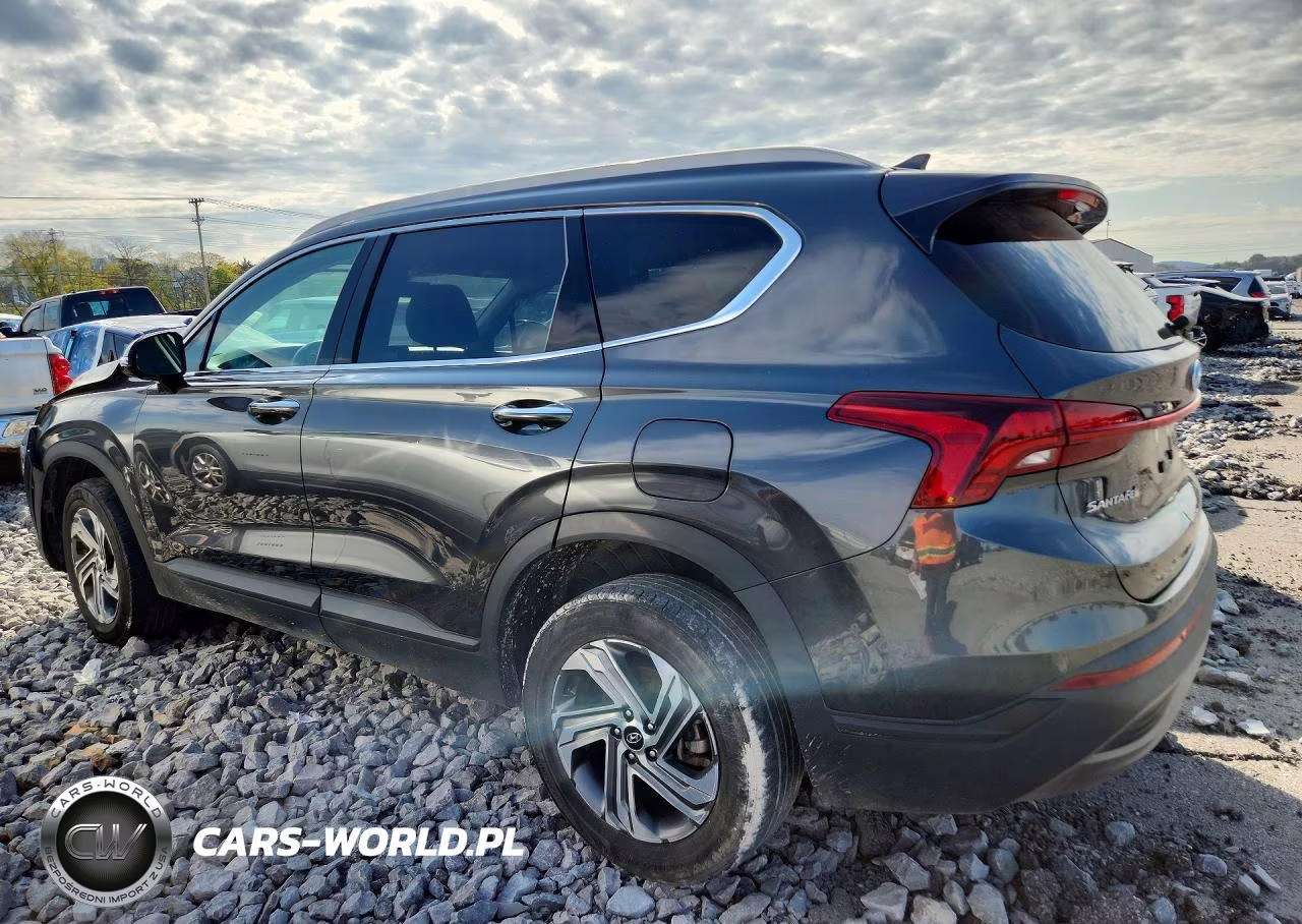2023 Hyundai Santa Fe Sel VIN:5NMS2DAJ2PH604838 - 2