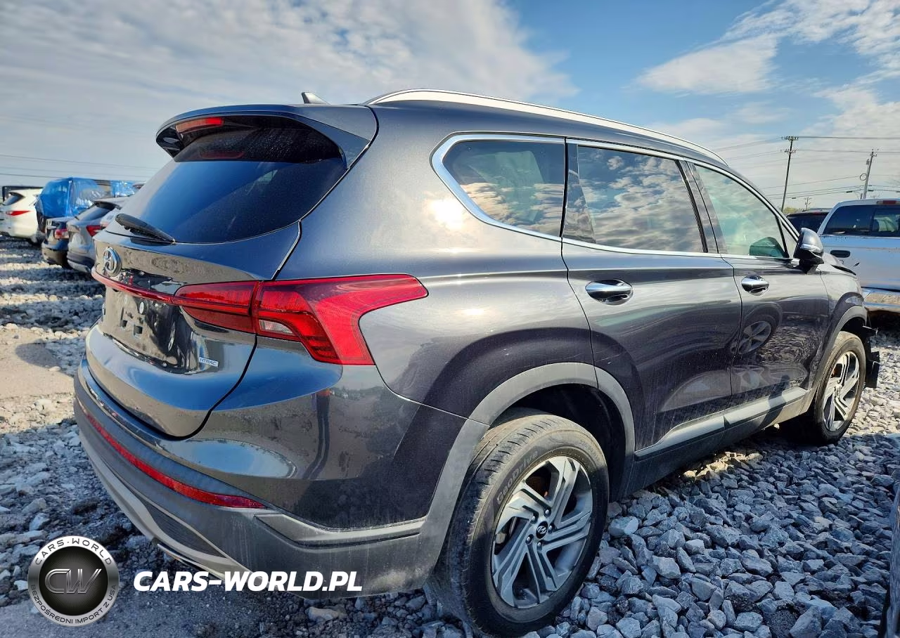 2023 Hyundai Santa Fe Sel VIN:5NMS2DAJ2PH604838 - 3