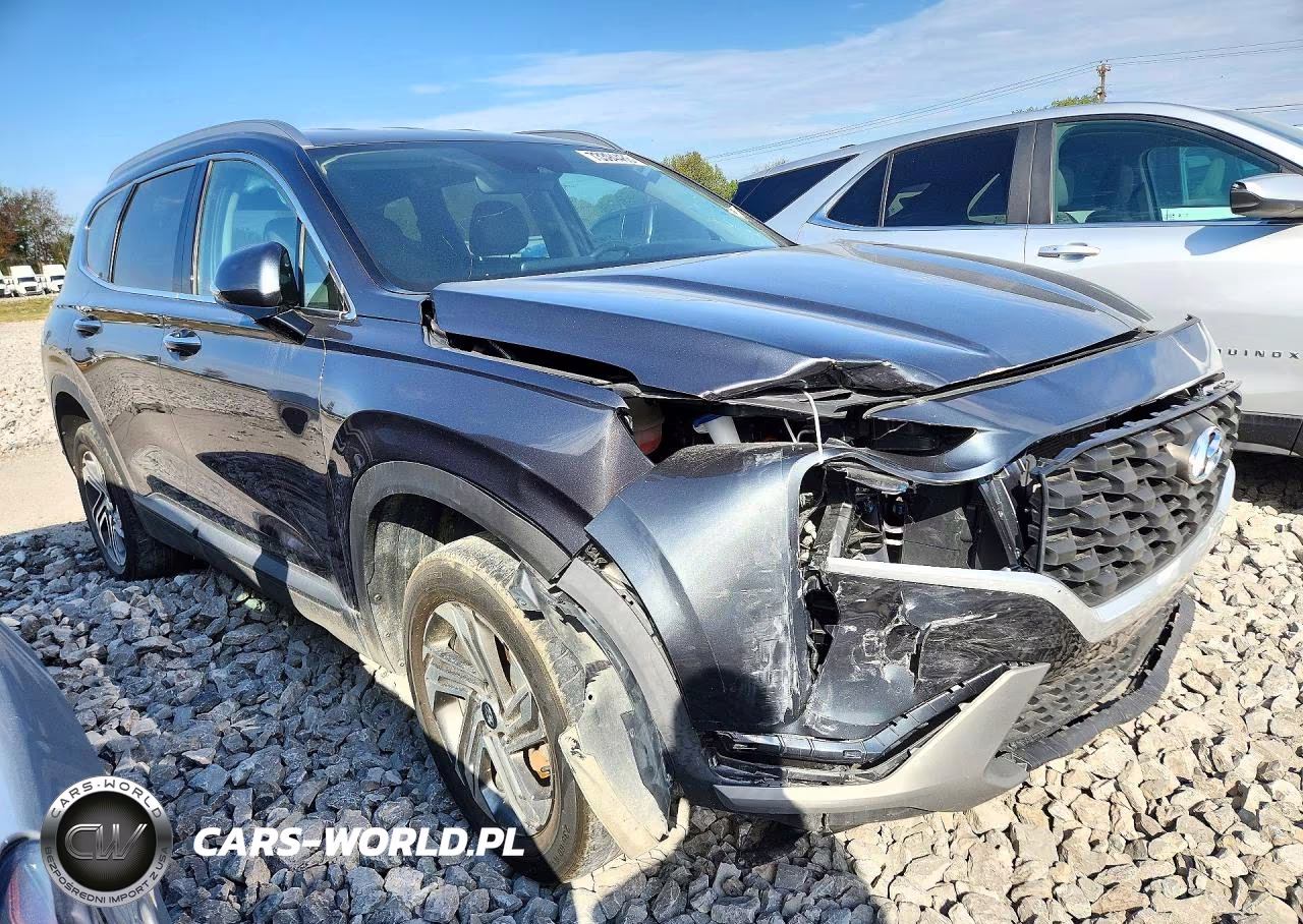 2023 Hyundai Santa Fe Sel VIN:5NMS2DAJ2PH604838 - 4