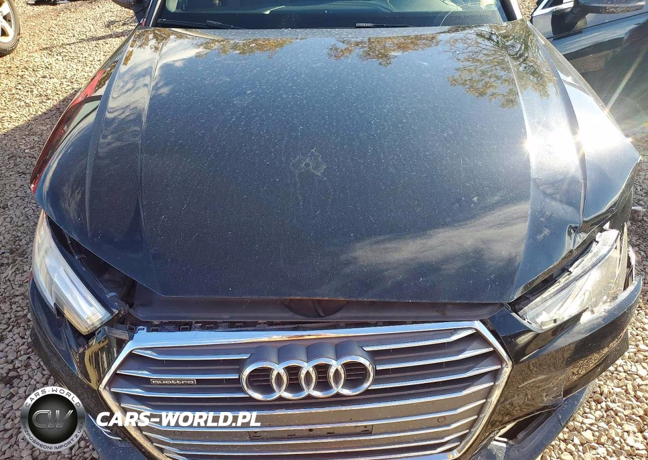 2017 Audi A4 Premium Plus VIN:WAUENAF46HN024905 - 11